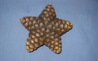 pinecone star deco