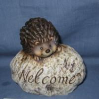hedgehog standing on stone for garden